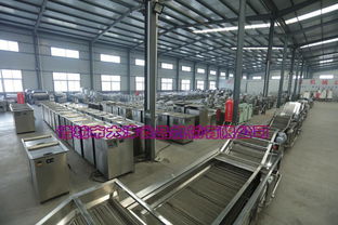 新一代鸡翅与鸡脯肉上糠设备的维护与常见计算机故障排除